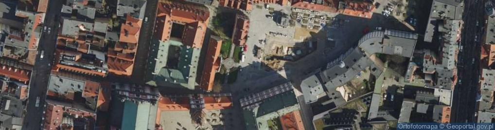 Zdjęcie satelitarne Poznańskie Koziołki
