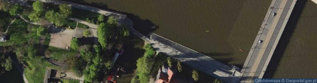 Zdjęcie satelitarne Ptaki