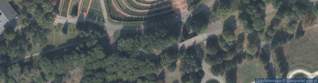 Zdjęcie satelitarne Ziarno, epitafium życia.