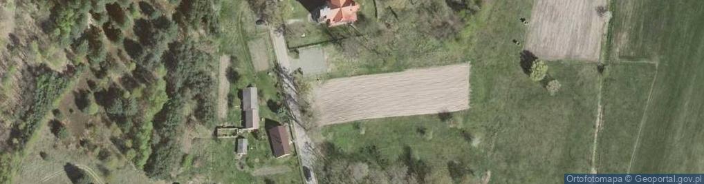 Zdjęcie satelitarne Chrystusa Króla