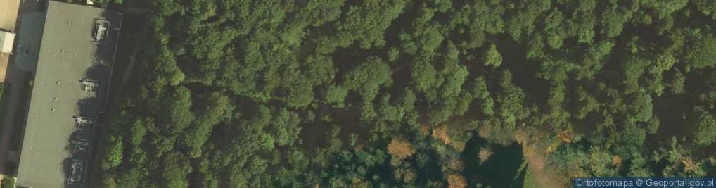 Zdjęcie satelitarne Leśne Sanktuarium MB Królowej Zdrojów Krynickich