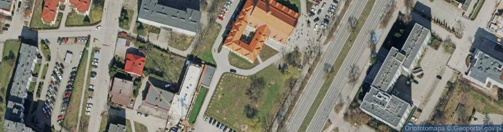 Zdjęcie satelitarne św. Franciszka z Asyżu