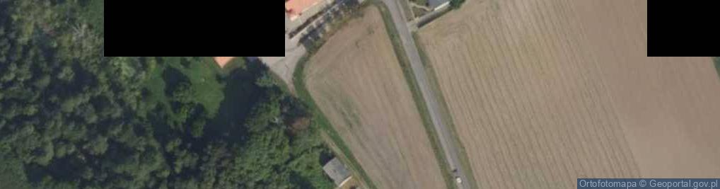 Zdjęcie satelitarne św. Walentego
