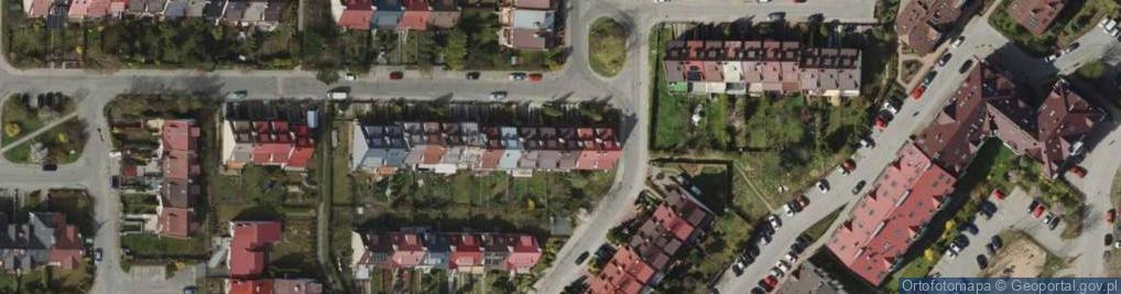 Zdjęcie satelitarne Trójcy Świętej