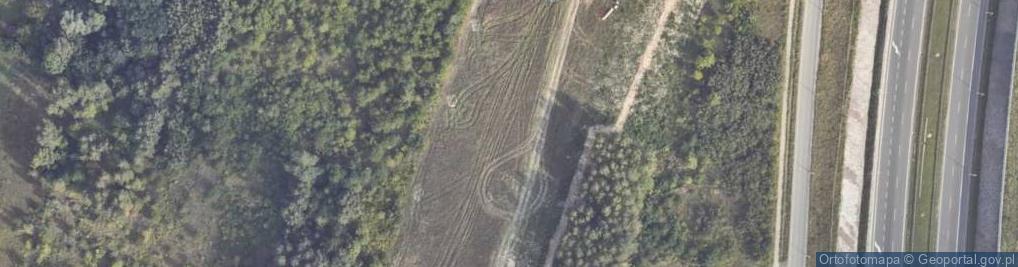 Zdjęcie satelitarne Sinsay - Sklep odzieżowy