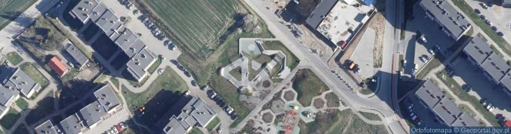 Zdjęcie satelitarne Skate park