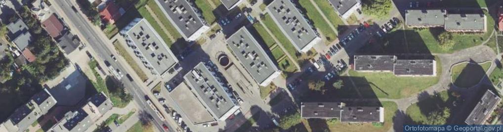 Zdjęcie satelitarne Kwiaty CBD - Filip Konopny