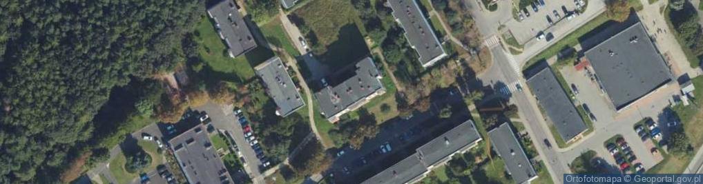 Zdjęcie satelitarne Poduszkiogrodowe.pl PPHU Antonina Górska
