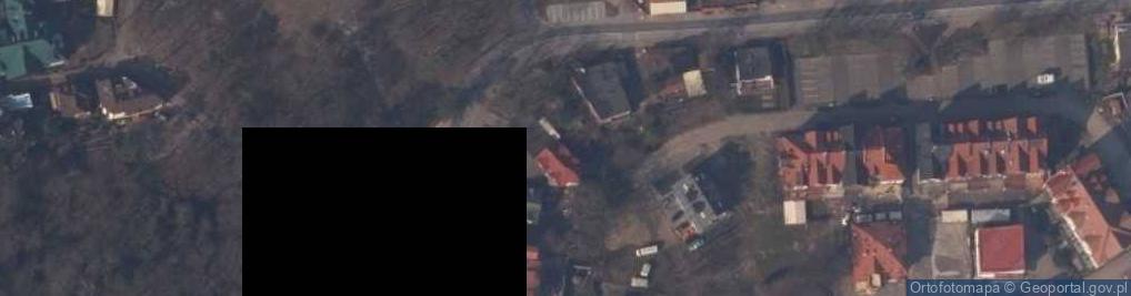 Zdjęcie satelitarne Rybka