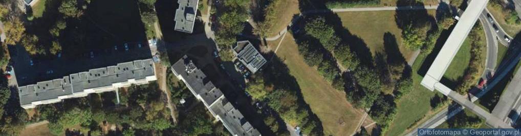 Zdjęcie satelitarne Silver