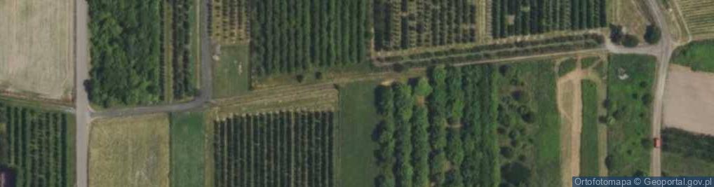 Zdjęcie satelitarne Sklep Spożywczo Przemysłowy