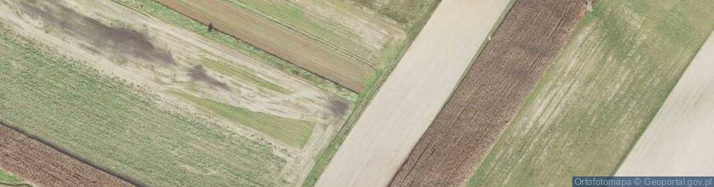 Zdjęcie satelitarne Sklep Spożywczy