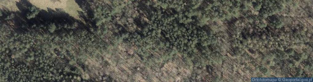 Zdjęcie satelitarne Stanowisko armaty 12,8 cm Flak 40
