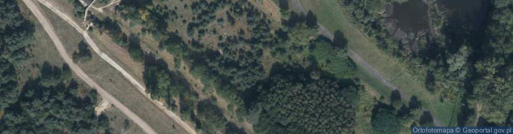 Zdjęcie satelitarne Strzelnica