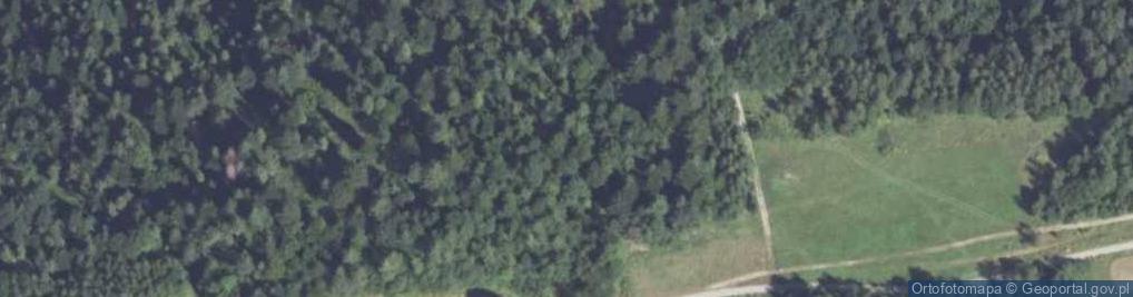 Zdjęcie satelitarne Bieńkowska Góra