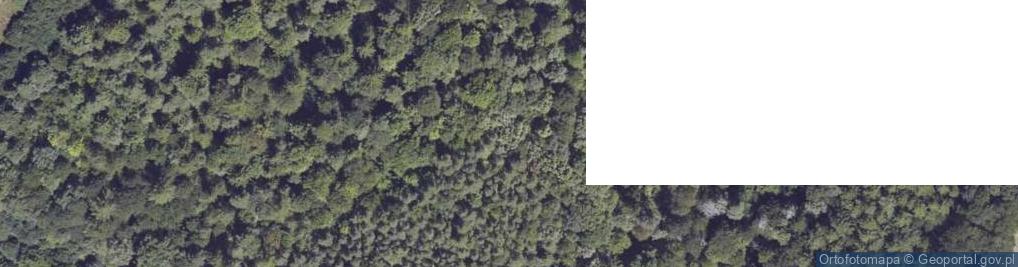 Zdjęcie satelitarne Biesy (Lepsza)