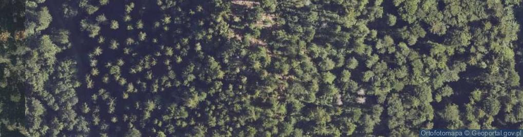 Zdjęcie satelitarne Bogatyn (Bogatka)