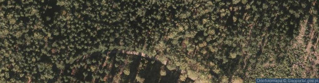 Zdjęcie satelitarne Borsucze Wzgórze