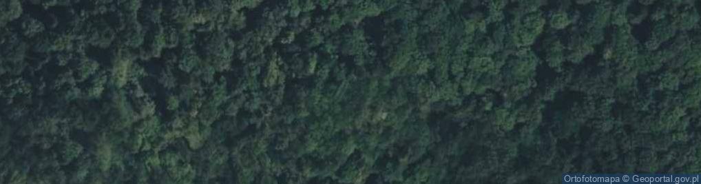 Zdjęcie satelitarne Czerteż