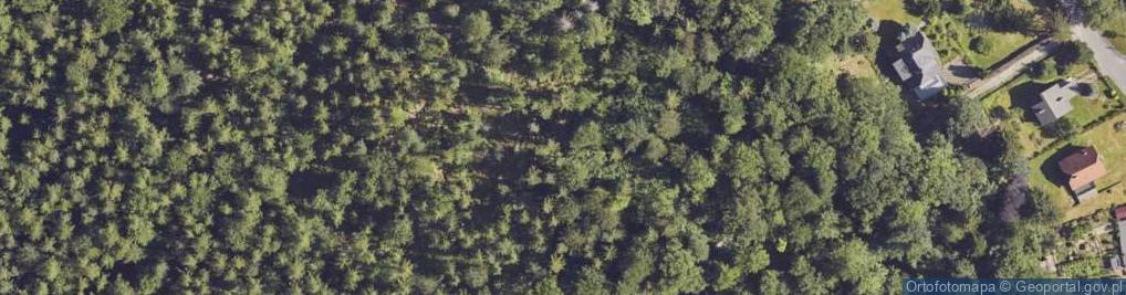 Zdjęcie satelitarne Drewniak