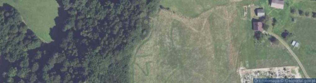 Zdjęcie satelitarne Dzielec