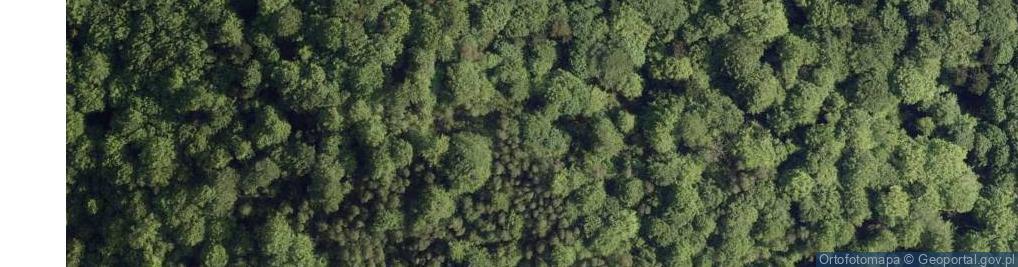 Zdjęcie satelitarne Garb (Zaśpit)