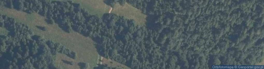 Zdjęcie satelitarne Goderman (cederman)