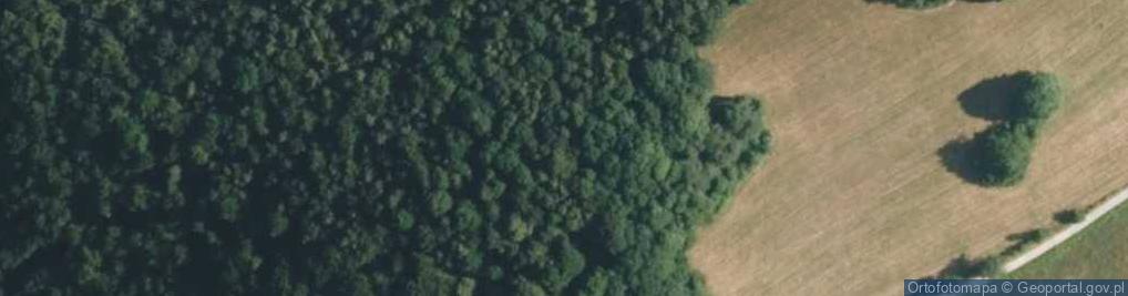 Zdjęcie satelitarne Goła Góra