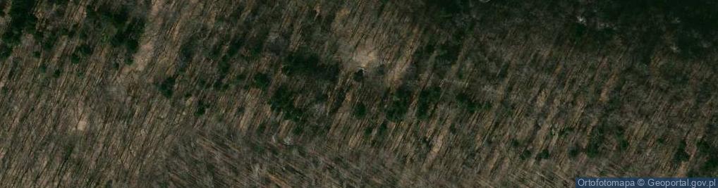 Zdjęcie satelitarne Grodziska