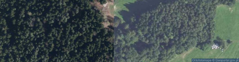 Zdjęcie satelitarne Grzechynia