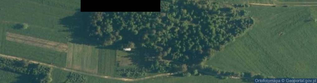 Zdjęcie satelitarne Gwiazdowski Groń