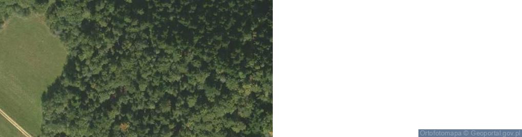 Zdjęcie satelitarne Jasieńczyk