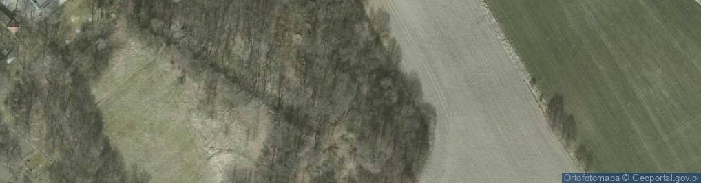 Zdjęcie satelitarne Kaplicznik