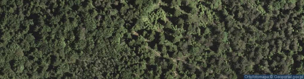 Zdjęcie satelitarne Kiczera