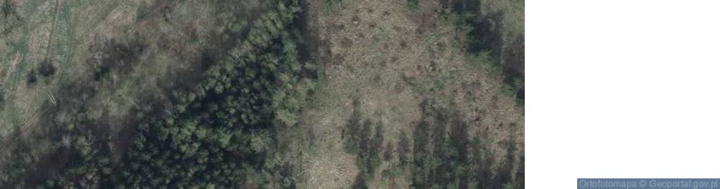 Zdjęcie satelitarne Kierznik