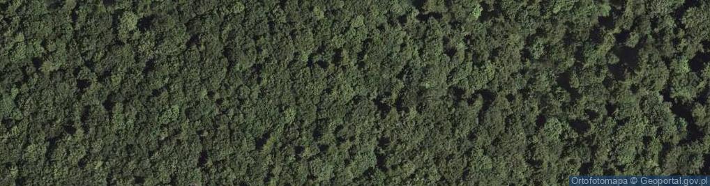 Zdjęcie satelitarne Klepki