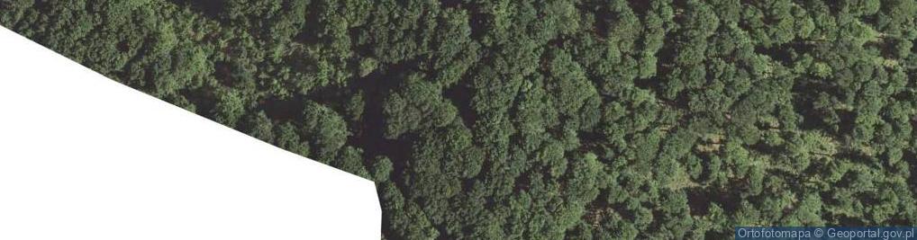 Zdjęcie satelitarne Koszarka