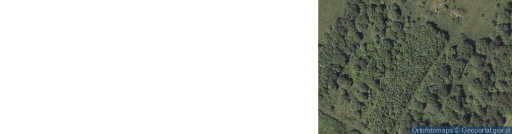 Zdjęcie satelitarne Koziegórka