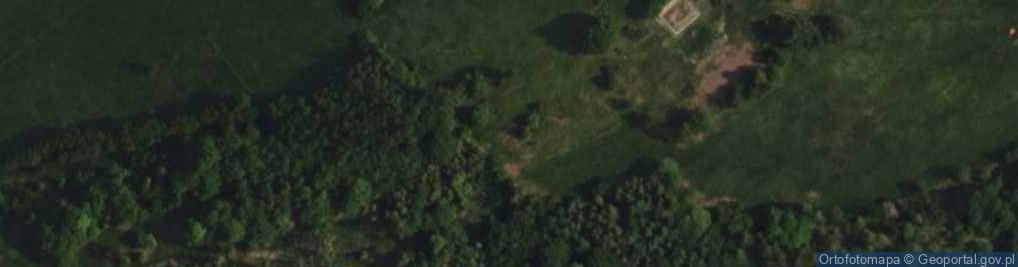 Zdjęcie satelitarne Krzywy