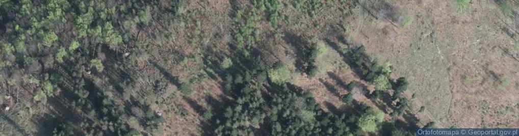Zdjęcie satelitarne Lipowski Groń