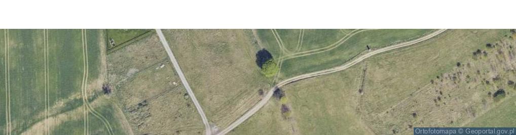 Zdjęcie satelitarne Marianska Gorka