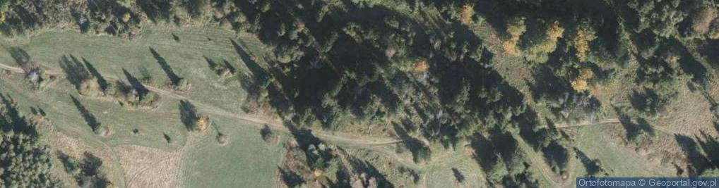 Zdjęcie satelitarne Oźna