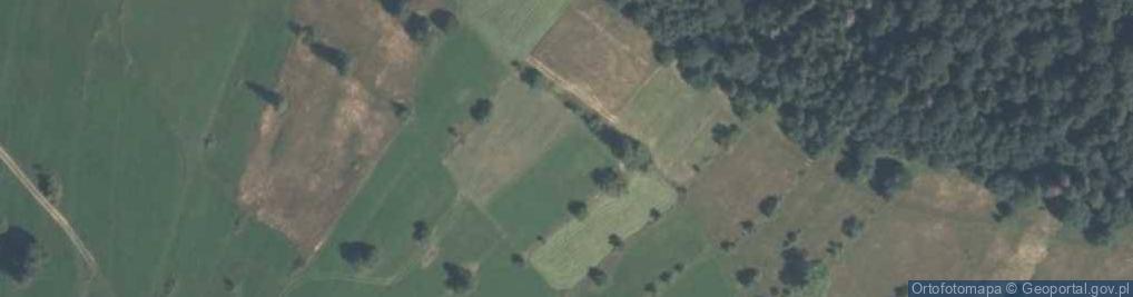 Zdjęcie satelitarne Pawlików Wierch