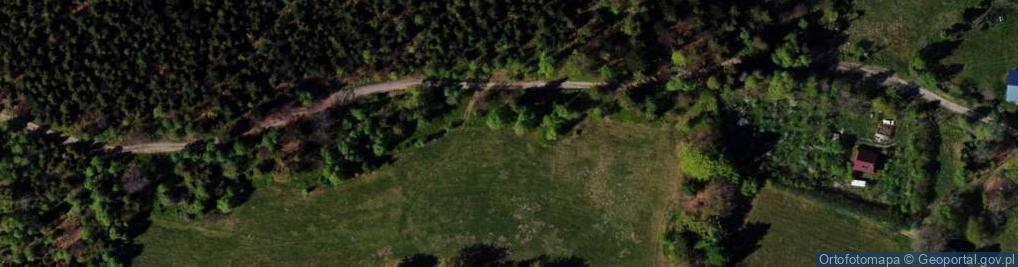 Zdjęcie satelitarne Rogacz