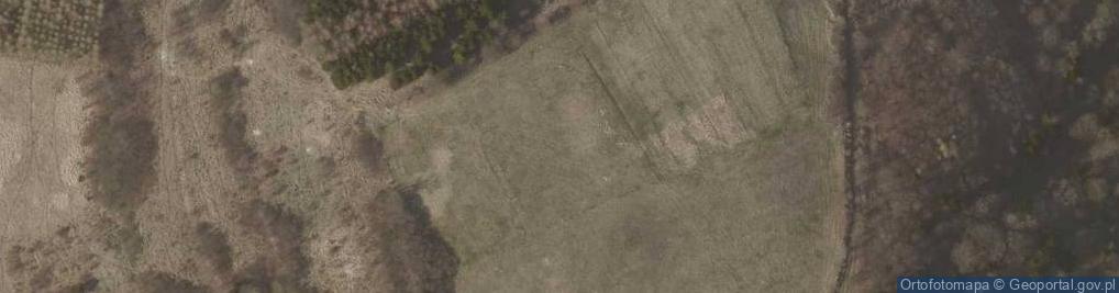 Zdjęcie satelitarne Rowiny