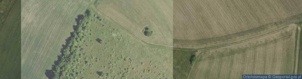 Zdjęcie satelitarne Rybnicka Góra