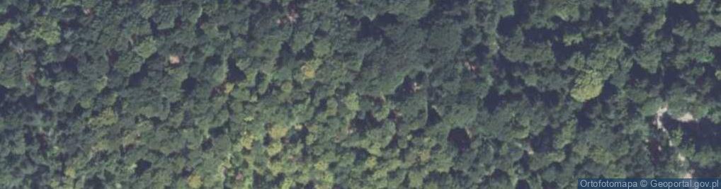 Zdjęcie satelitarne Trupiec (Trupielec)