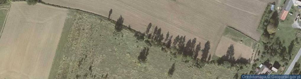 Zdjęcie satelitarne Trzmielak