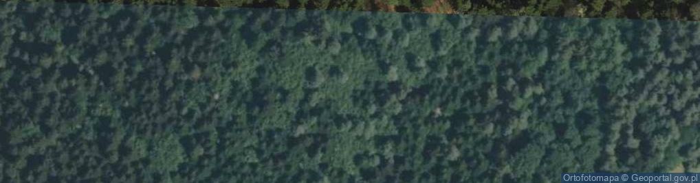 Zdjęcie satelitarne Wilczak