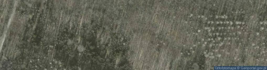 Zdjęcie satelitarne Wilczek